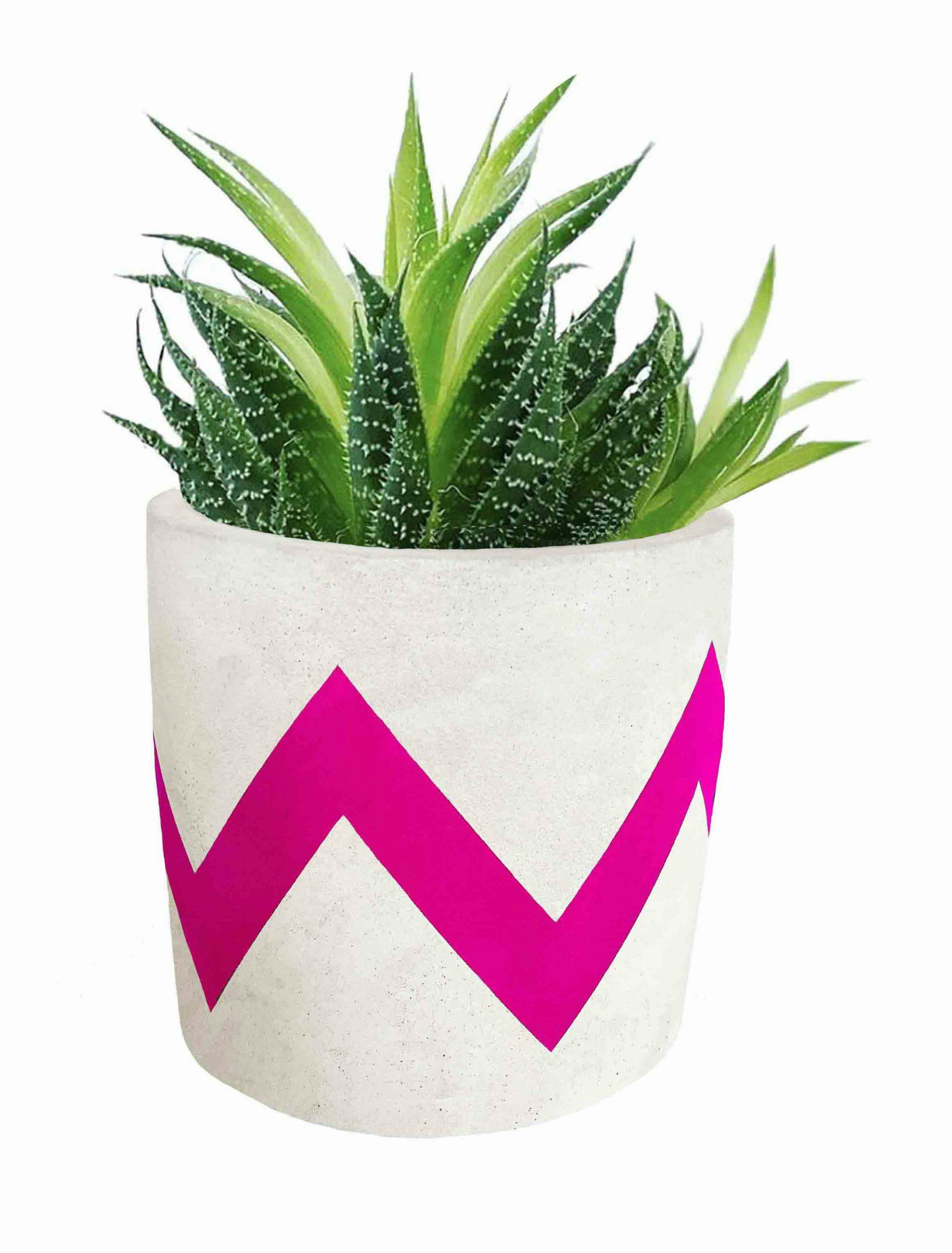 bright pink zig zag neon decor plant pot