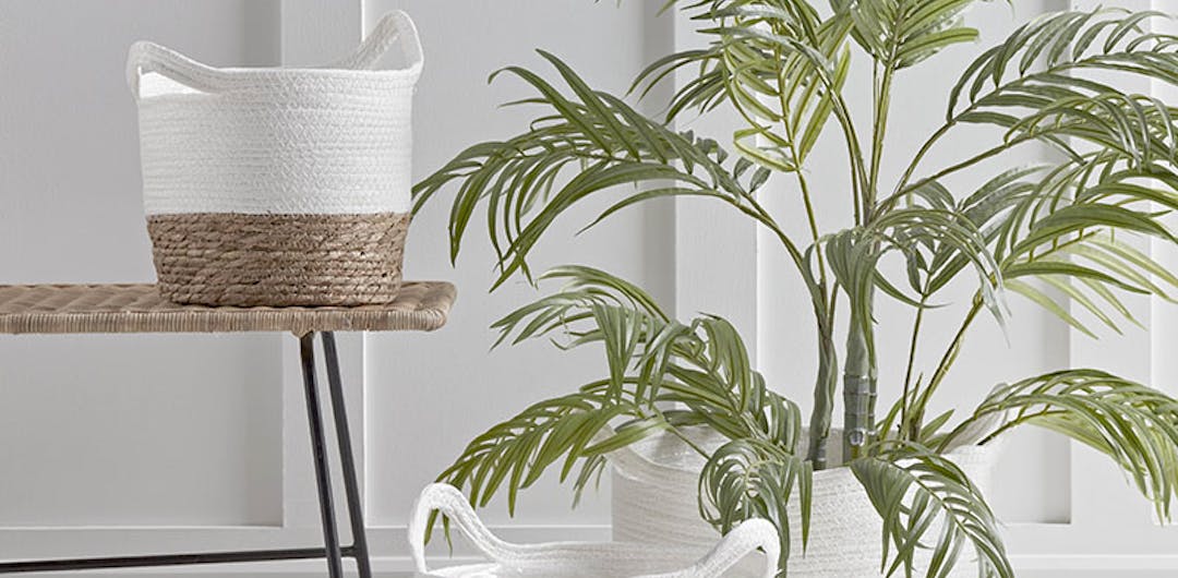 natural seagrass baskets with plants in