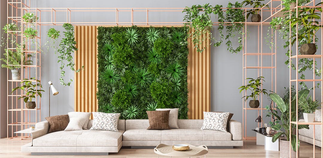a stylish living room full of easy care houseplants