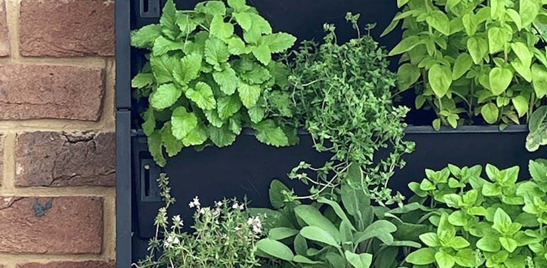 herb planters